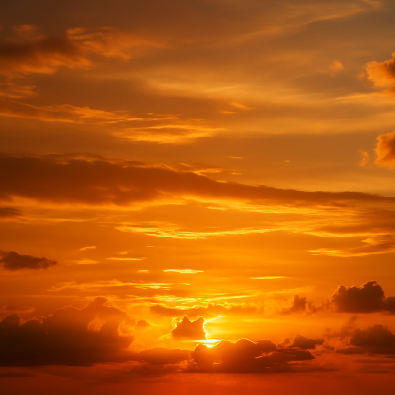 The Light that Remains